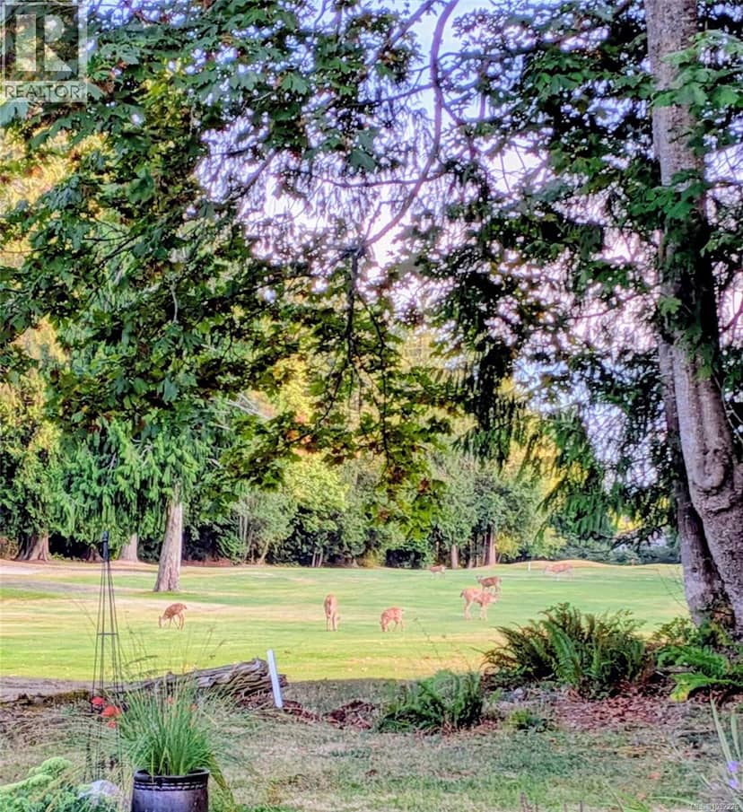 1176 Lee Rd, Parksville, photo 2