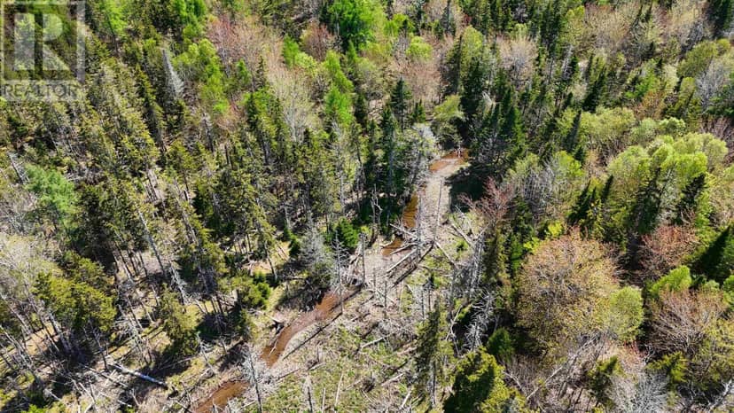 7004 Marble Mountain Road — photo 28 of 31