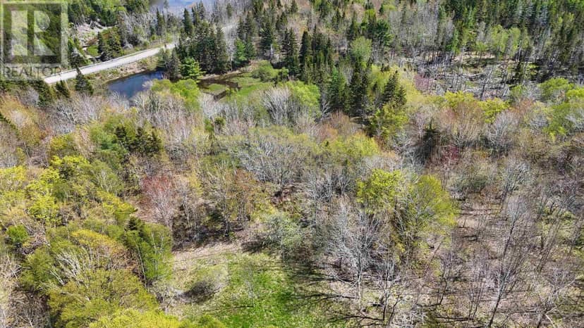 7004 Marble Mountain Road — photo 19 of 31
