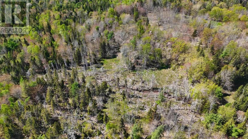 7004 Marble Mountain Road — photo 27 of 31