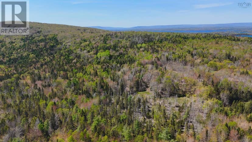 7004 Marble Mountain Road — photo 4 of 31