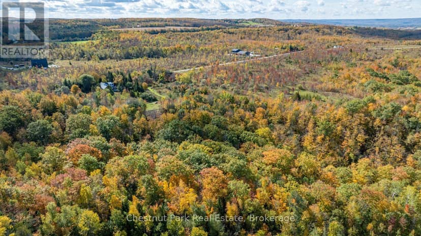 729297 21st Side Road — photo 4 of 40