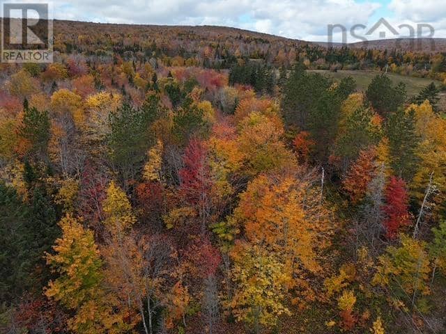 West Middle River Road — photo 5 of 13