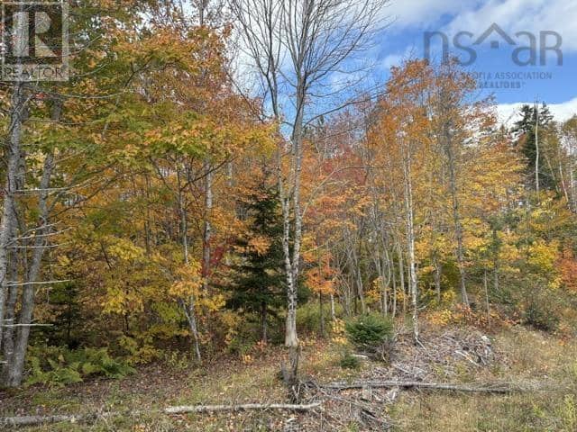 West Middle River Road — photo 9 of 13