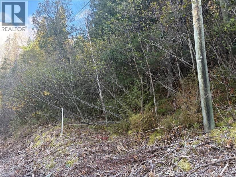 Vacant lot Restigouche River Road, Dawsonville, photo 3