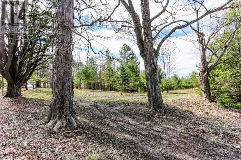 2790 Old Second Road S, Springwater, photo 4