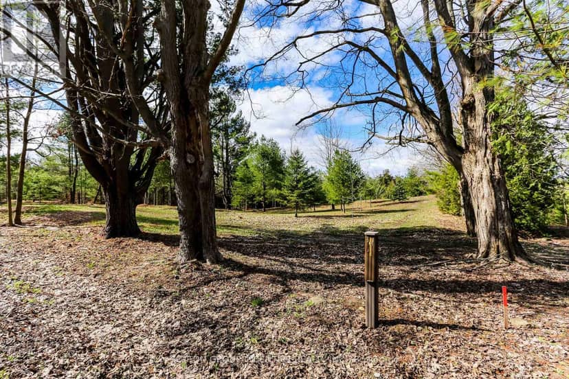2790 Old Second Road S, Springwater, photo 7