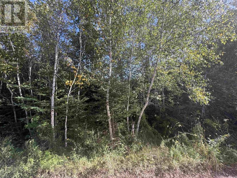 W-17 Cove View Road, West Covehead, photo 2
