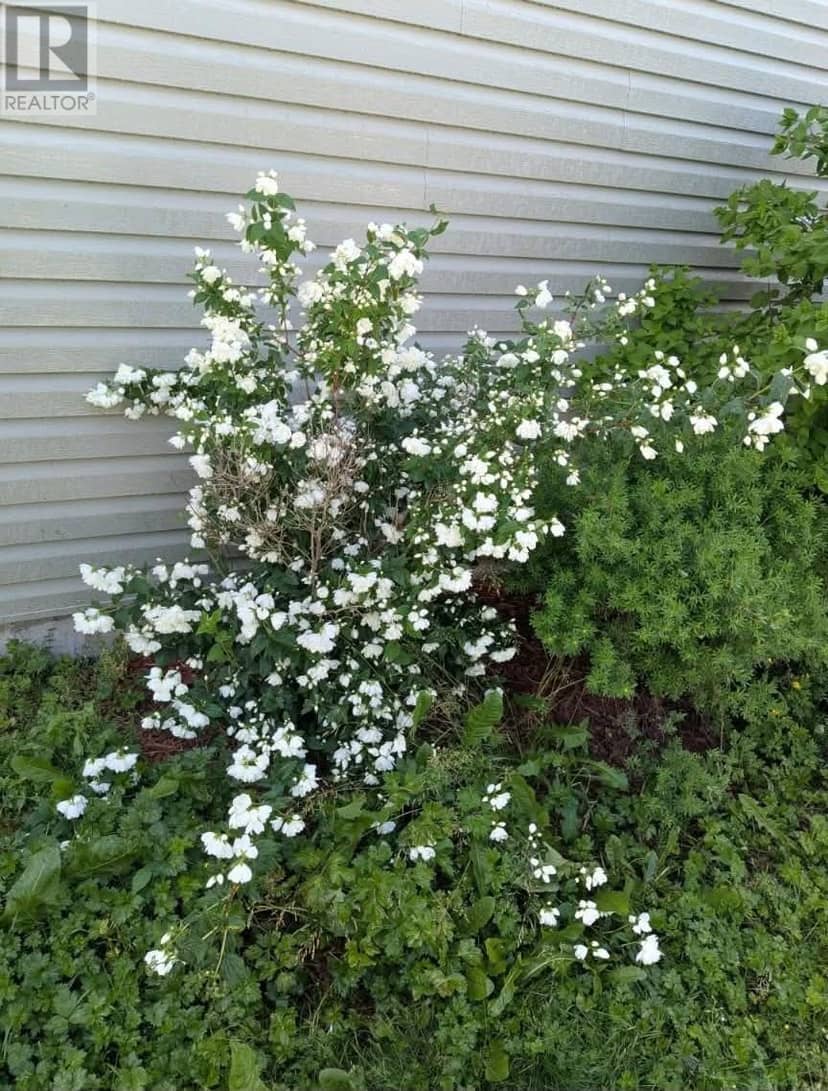 31 Forest Road — photo 29 of 35