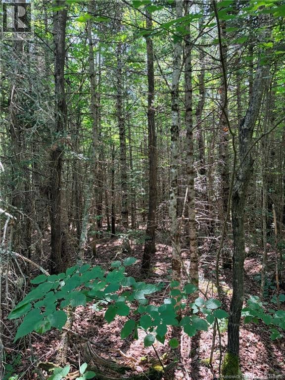 OFF Drurys Cove Road — photo 13 of 14