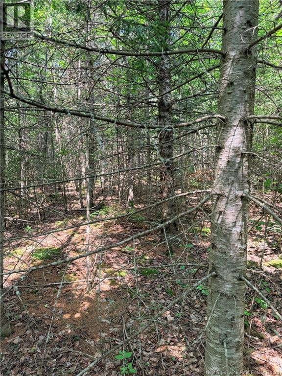 OFF Drurys Cove Road — photo 9 of 14