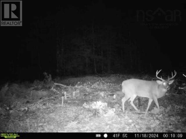 Lot (PID 05046693) Victory Road — photo 27 of 27