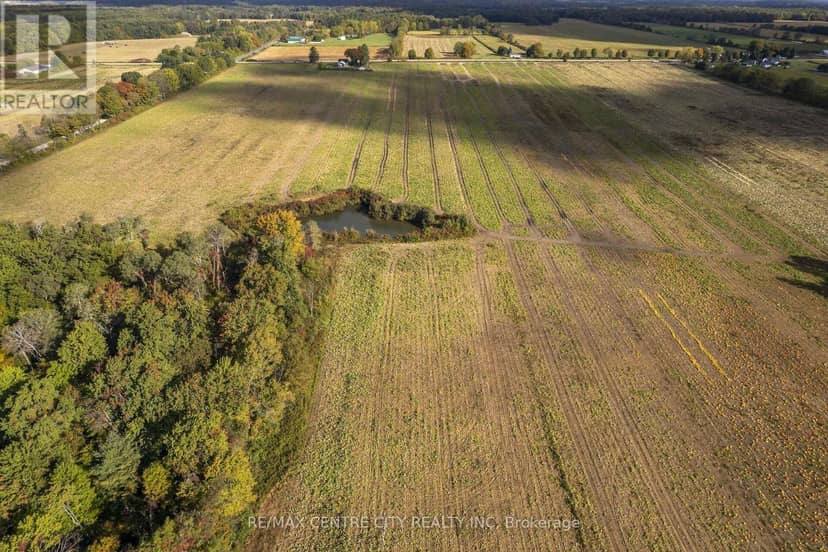 8916 Coyle Road — photo 33 of 37