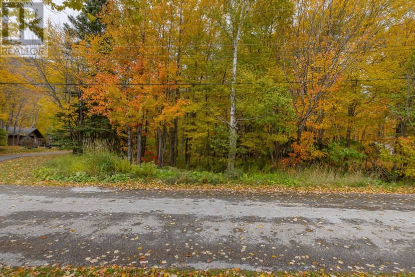 18A Forest Drive — photo 6 of 7