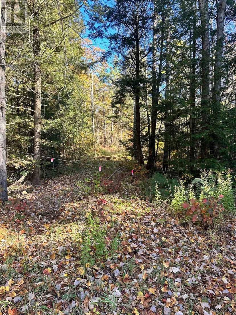 1101 Doe Lake Road, Gravenhurst
