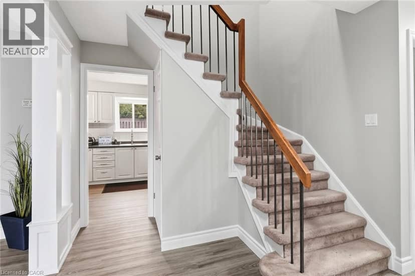 20 MANSFIELD Street — photo 15 of 40