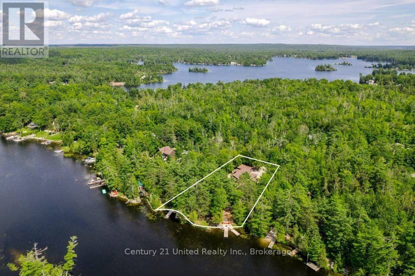 41 Hall Crescent, Trent Lakes, photo 4