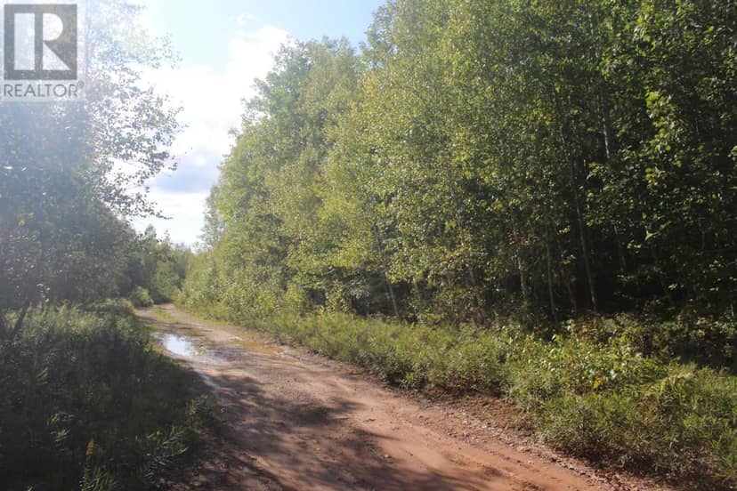 Wallace Road, Upper Rawdon, photo 8