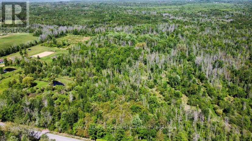 3251 Paden Road, Ottawa, photo 4