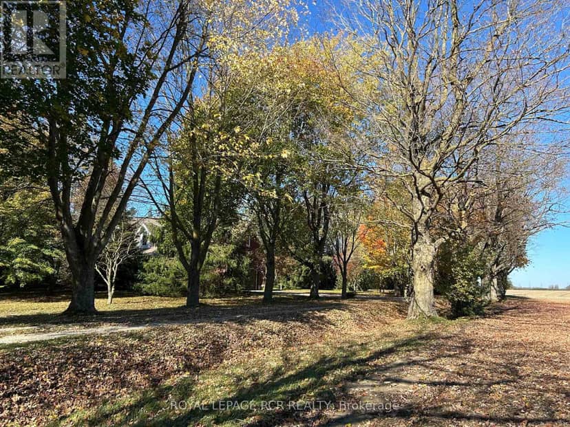 361225 Con 8-9, East Luther Grand Valley, photo 6