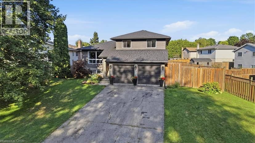 79 FENNEL Street, Blandford-Blenheim, photo 4