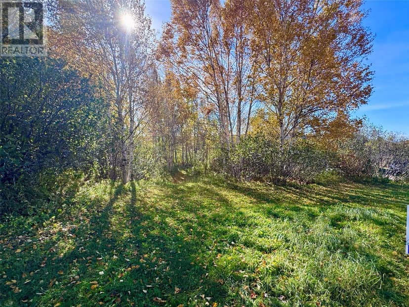 120 High Street, Deer Lake, photo 3