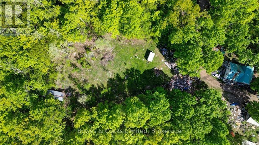 3463 County Road 44, Havelock-Belmont-Methuen, photo 4