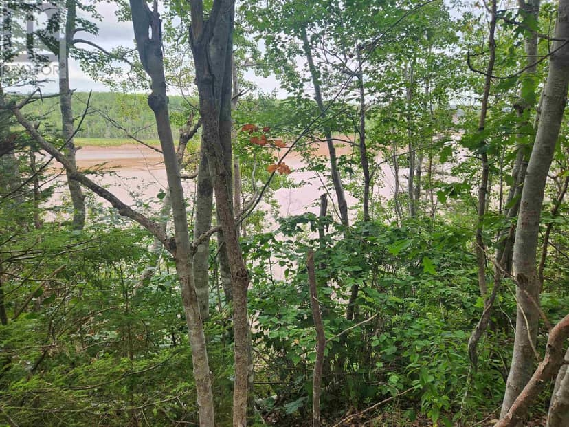 Lot Highway 215 — photo 4 of 22