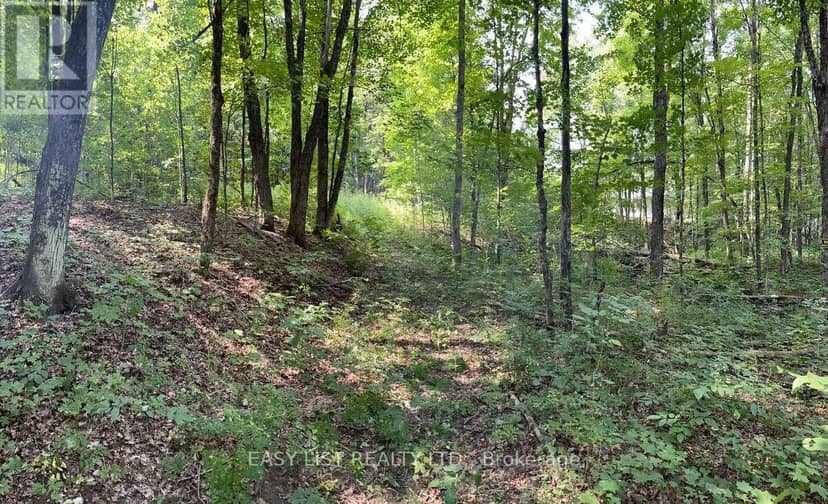 Lot 1 Colonial Road, Minden Hills, photo 6