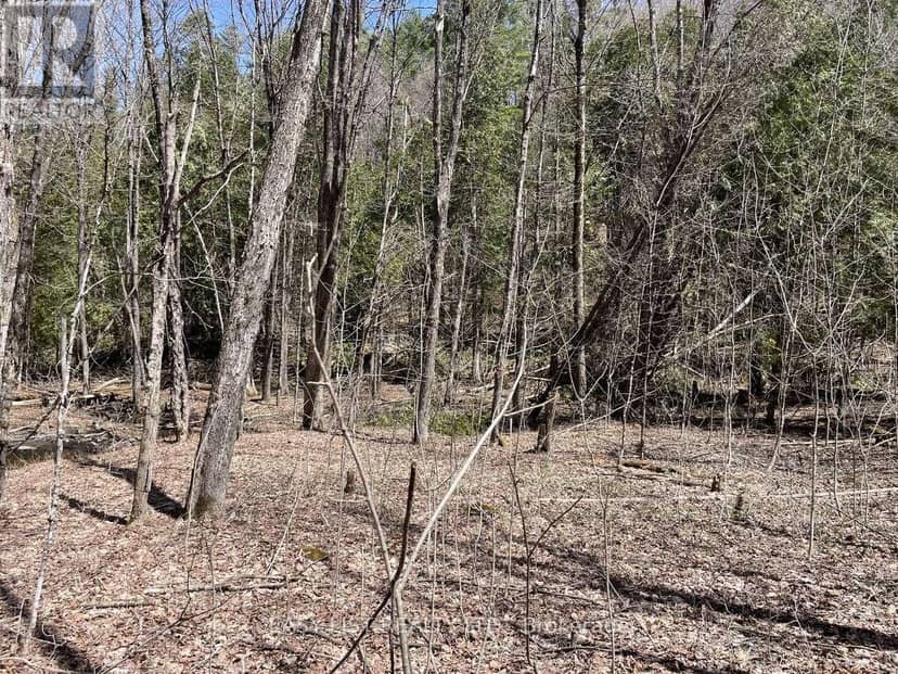 Lot 1 Colonial Road, Minden Hills, photo 8