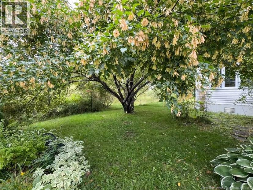 42 L'Anse Street — photo 31 of 40