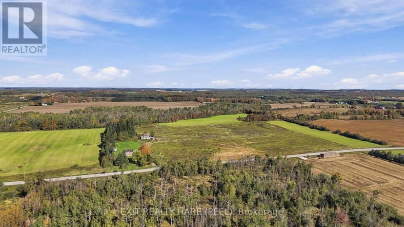 385169 20th Side Road — photo 13 of 14