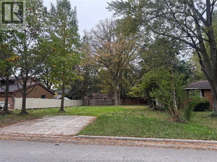 3365 Rankin — photo 2 of 5