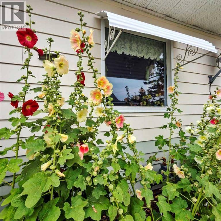 4815 46 Street, Rocky Mountain House, photo 7