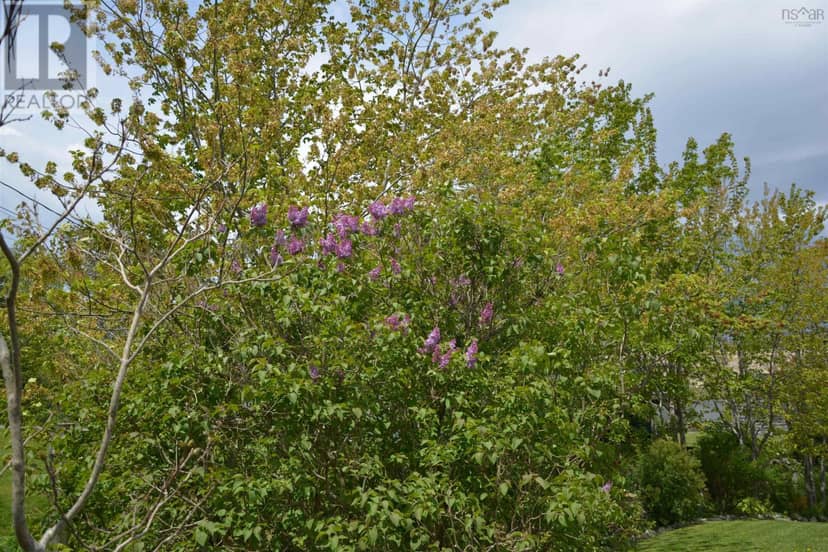 602 Herring Cove Road — photo 29 of 30