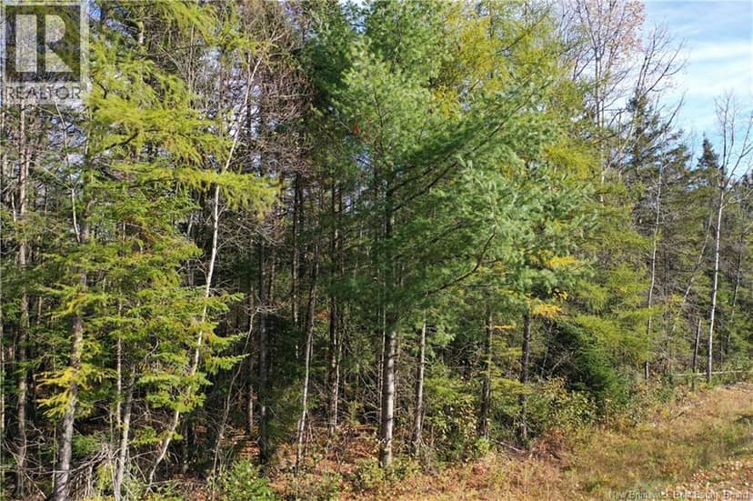 Lot 26-9 Route 855 — photo 9 of 19