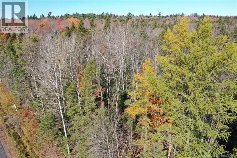 Lot 25-5 Route 855 — photo 10 of 19
