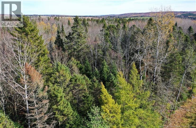 Lot 25-5 Route 855 — photo 11 of 19