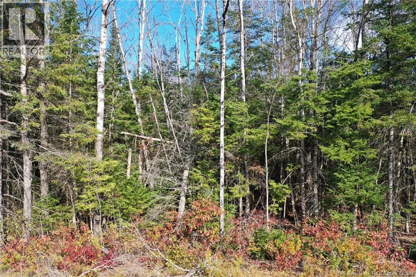Lot 25-5 Route 855 — photo 12 of 19