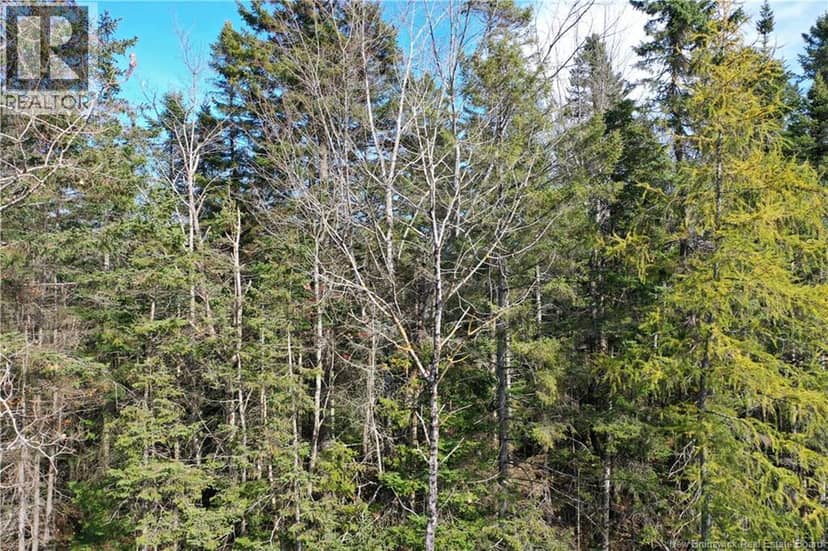 Lot 25-5 Route 855, Norton, photo 5