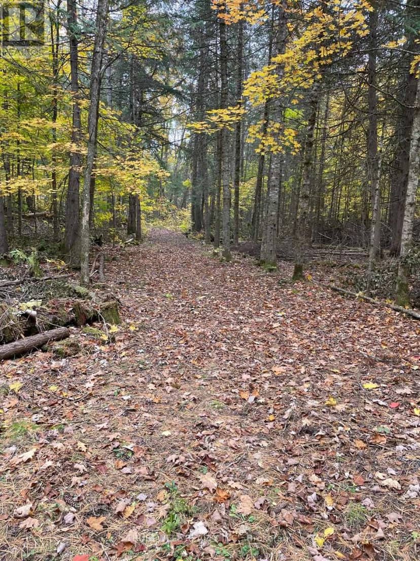 0 Little Silver Lake Road, Trent Lakes, photo 2