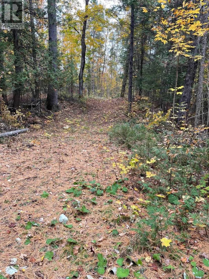 0 Little Silver Lake Road, Trent Lakes, photo 5