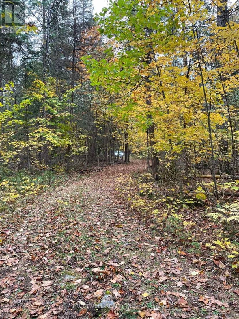0 Little Silver Lake Road, Trent Lakes, photo 7
