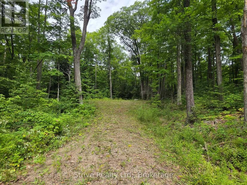 1303 Whites Road — photo 17 of 28