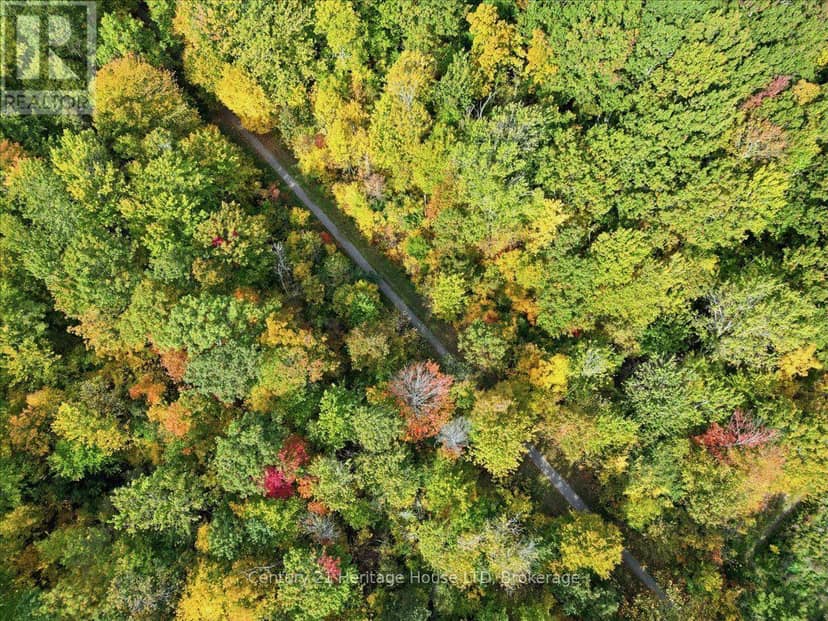 Part Lot 19, Concession 1 Station Road, Wainfleet, photo 5