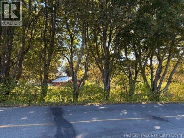 1285 St Peter Avenue — photo 12 of 27