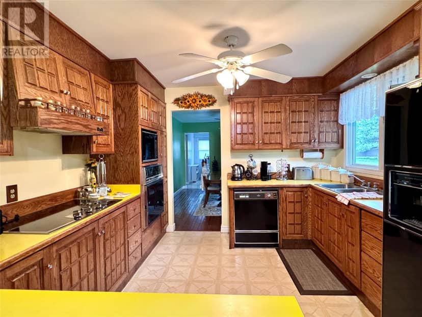 103 George Aaron Drive, Deer Lake, photo 6