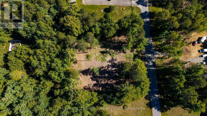 536 Pine Street — photo 16 of 40