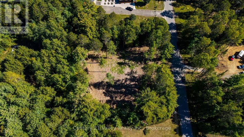 536 Pine Street — photo 17 of 40