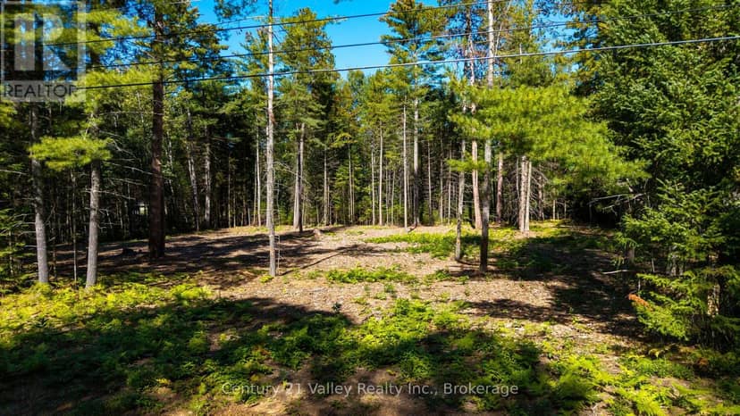 536 Pine Street, Greater Madawaska, photo 2
